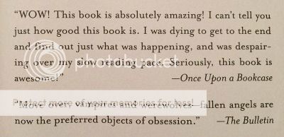 Quote in Fallen by Lauren Kate special US edition