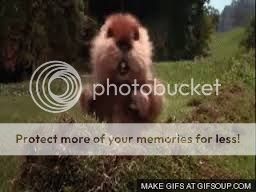 B76275C6-99F3-4759-84B2-B90CFF4A12BD-315