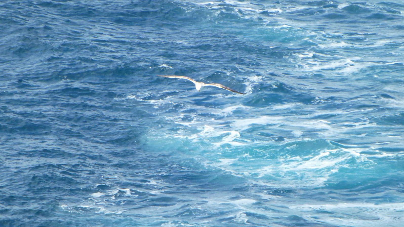 Испания и Евродам. Дважды впервые