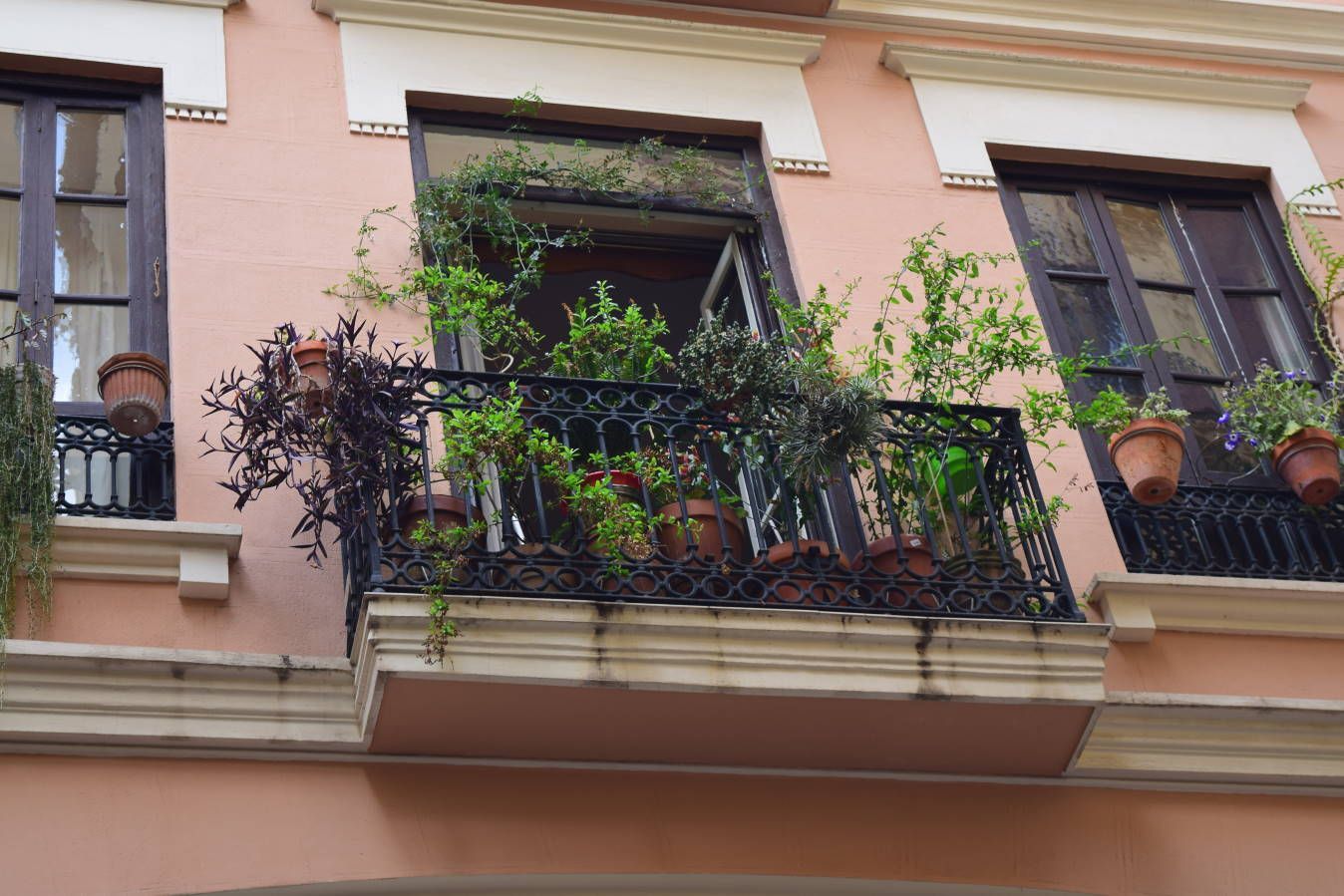 Испания и Евродам. Дважды впервые