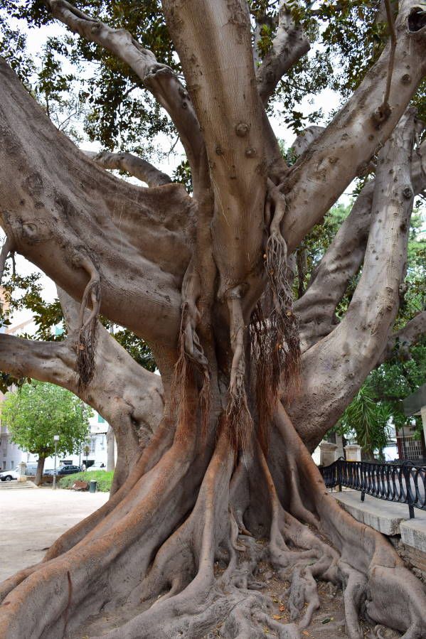 Испания и Евродам. Дважды впервые