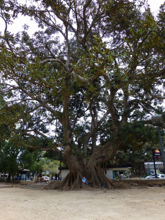 Испания и Евродам. Дважды впервые