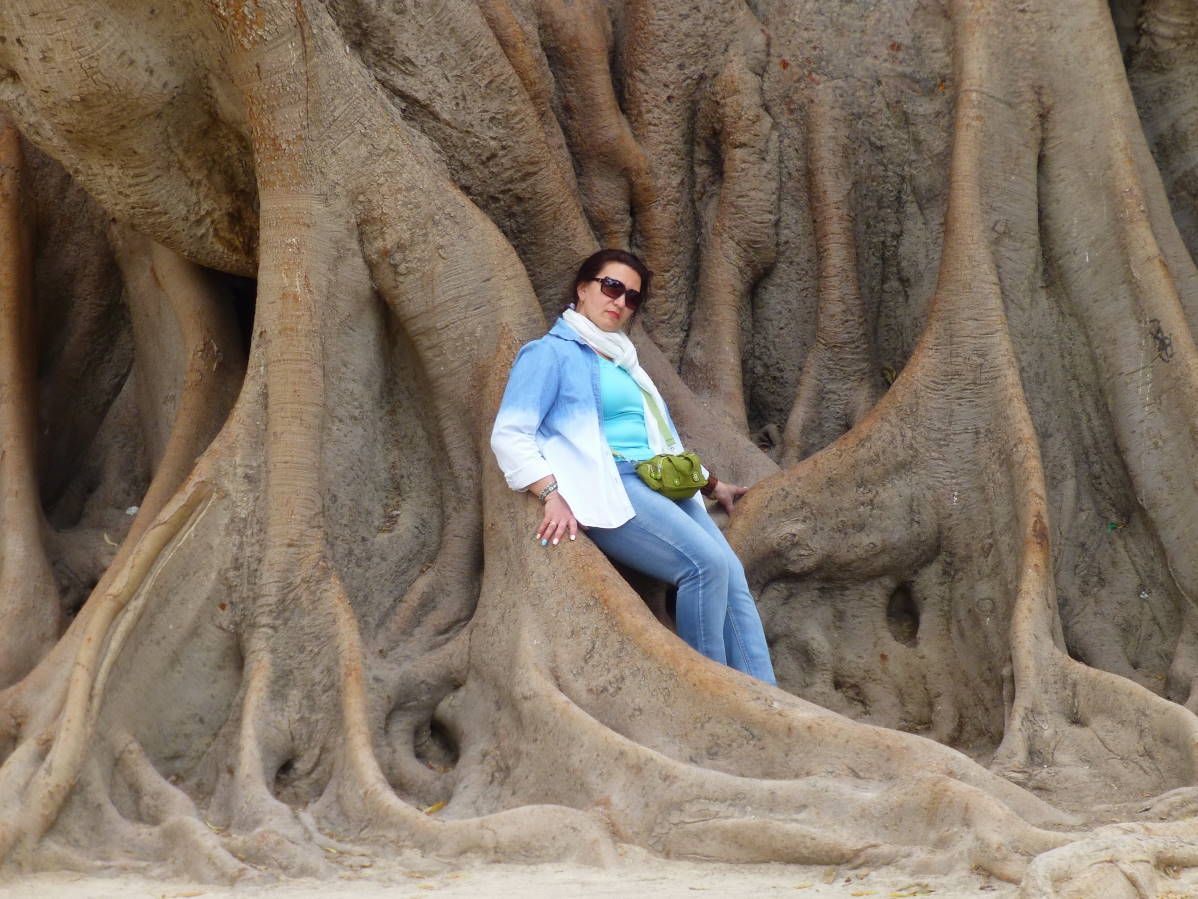 Испания и Евродам. Дважды впервые