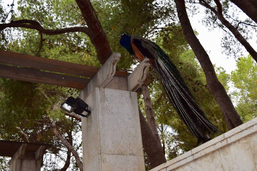 Испания и Евродам. Дважды впервые