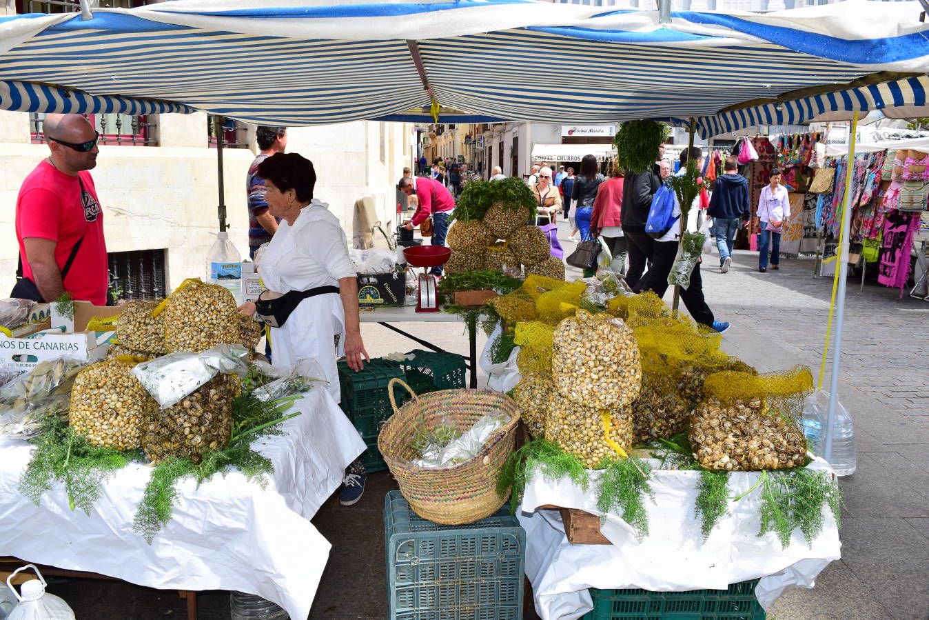 Испания и Евродам. Дважды впервые