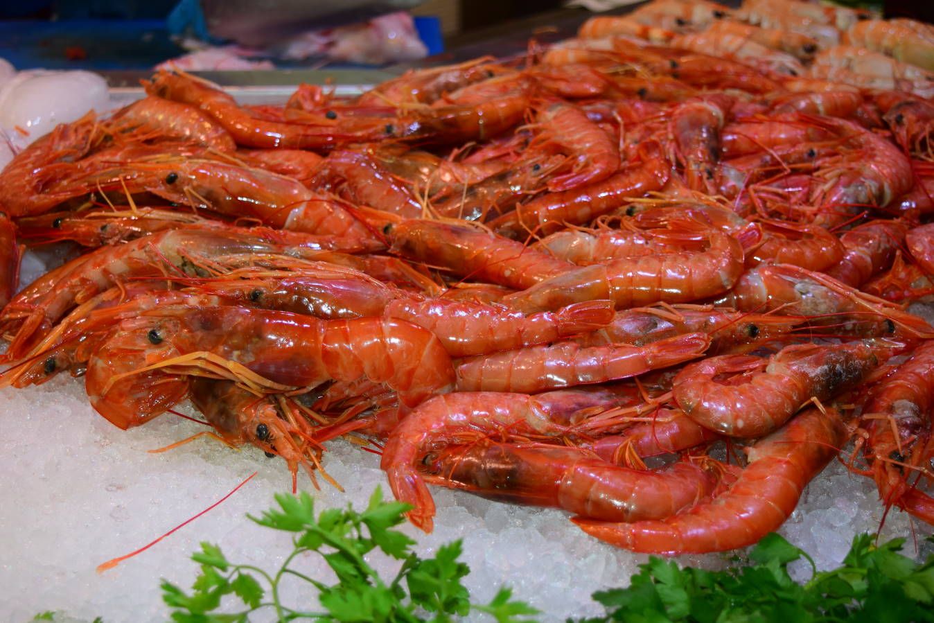 Испания и Евродам. Дважды впервые