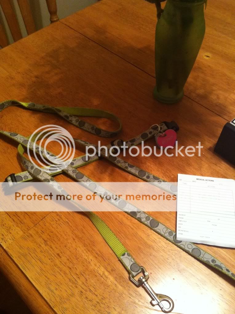 Best way to wash a dog leash? Puppy Forum and Dog Forums