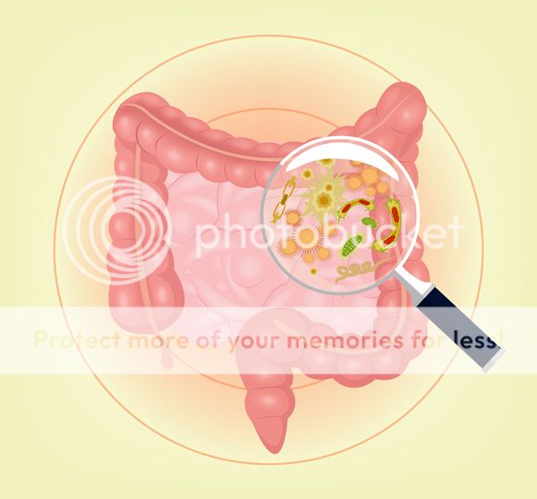 Microbiome