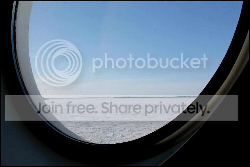  photo IMG_1449_zpsccbc8ded.jpg