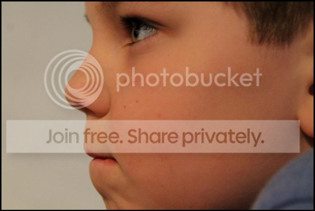  photo IMG_9578_zpsbfc3a3f1.jpg