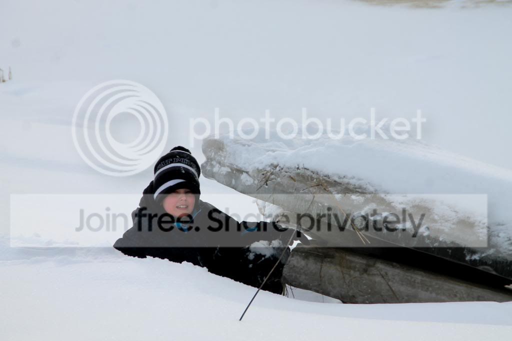  photo IMG_9718_zpsa2a08fe1.jpg