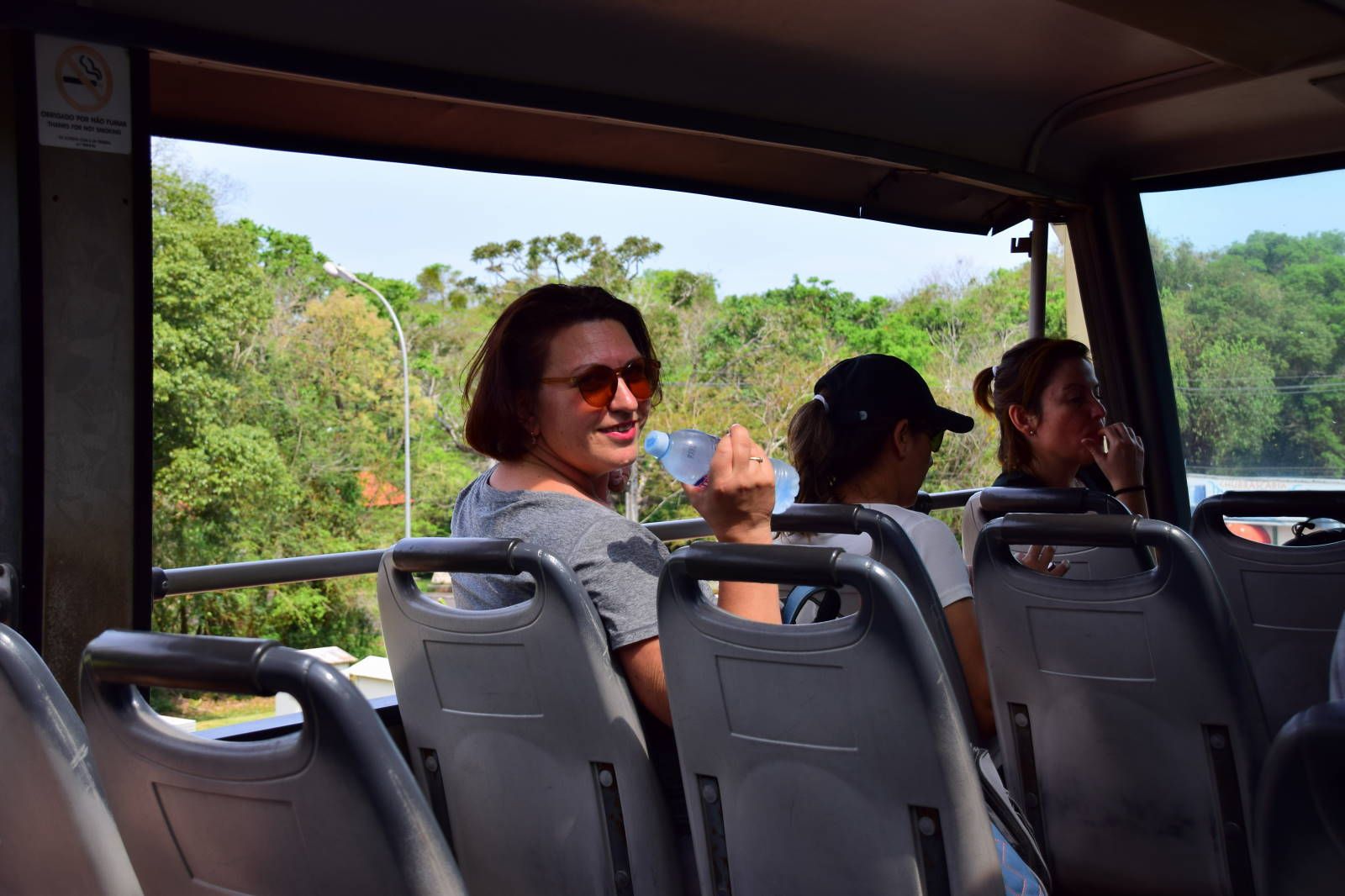 ИзоБразилия акупунктурно. Рио-Игуасу с обеих сторон