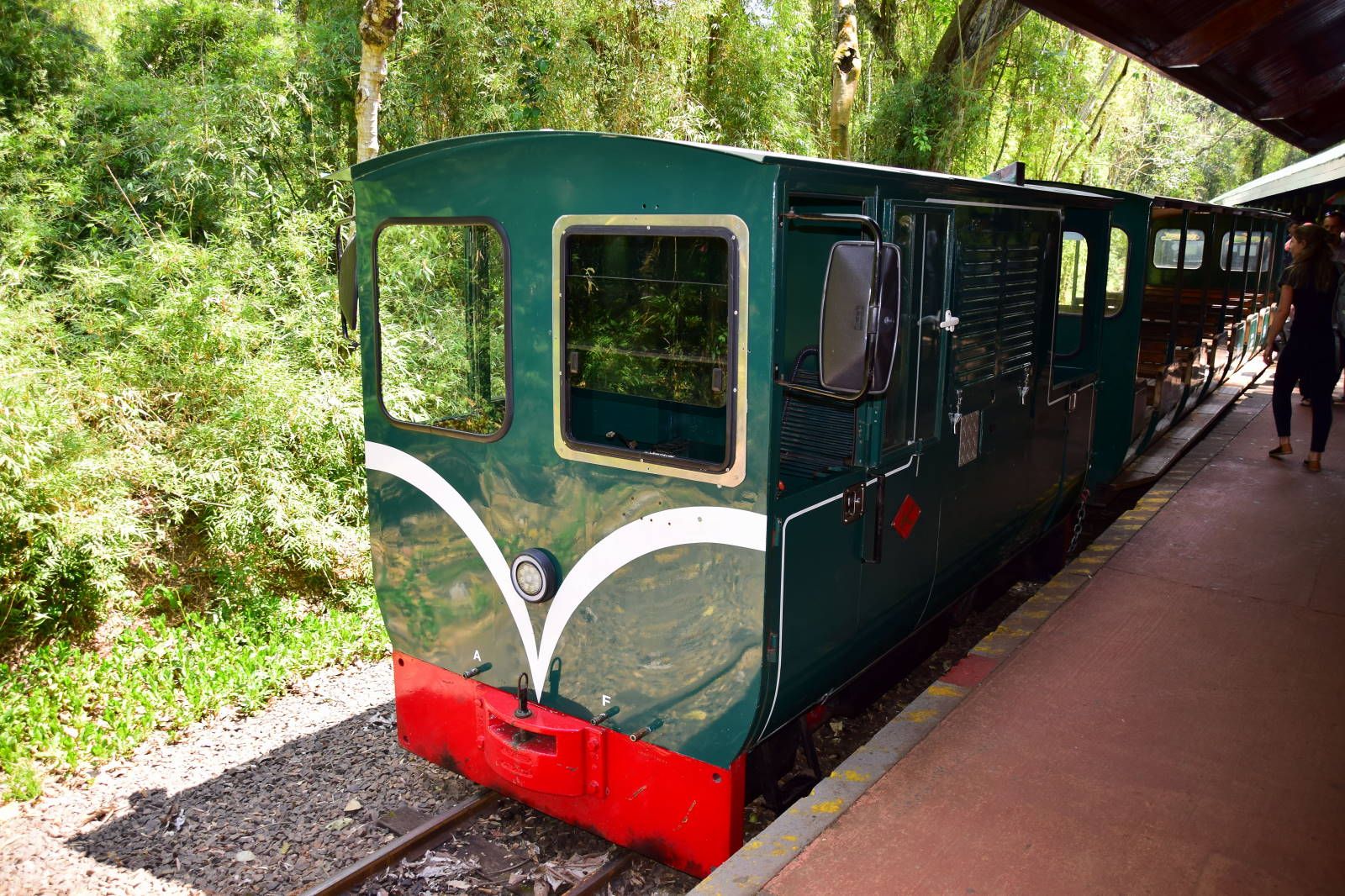 ИзоБразилия акупунктурно. Рио-Игуасу с обеих сторон