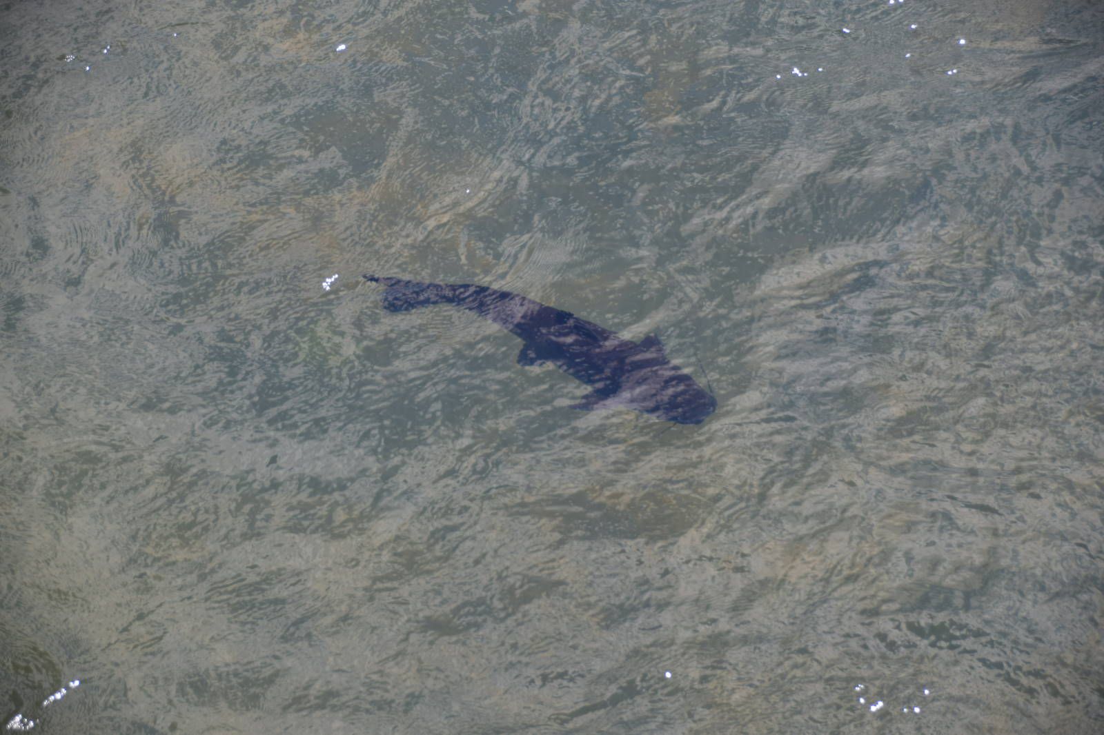 ИзоБразилия акупунктурно. Рио-Игуасу с обеих сторон