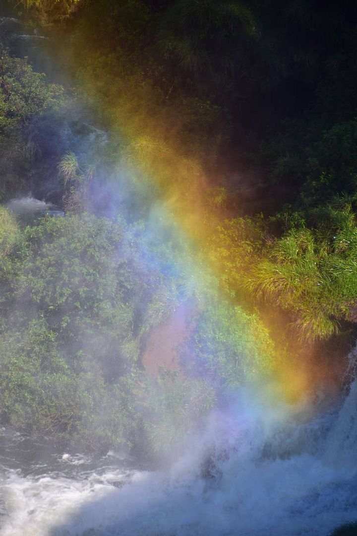 ИзоБразилия акупунктурно. Рио-Игуасу с обеих сторон