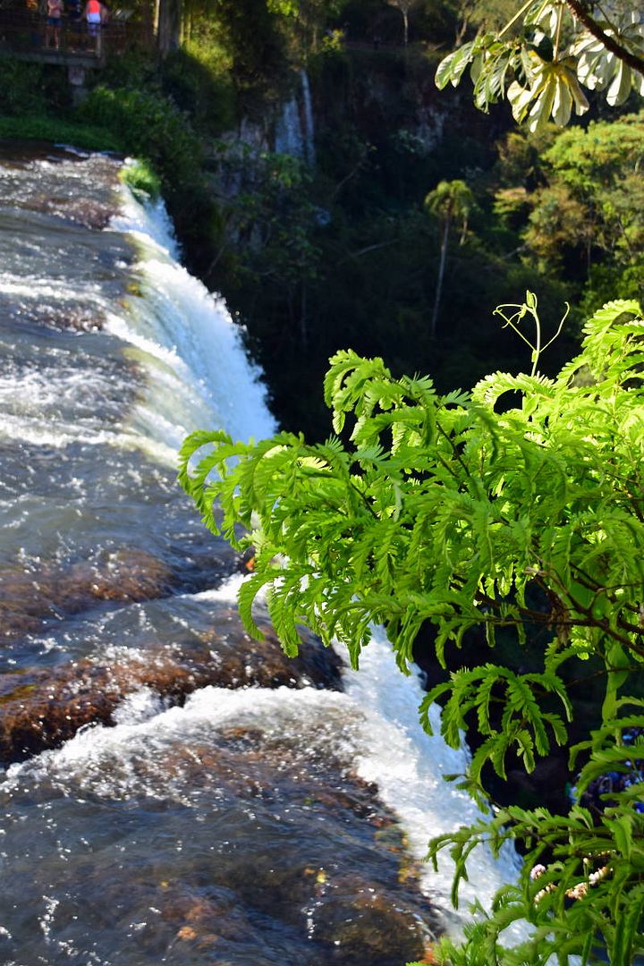 ИзоБразилия акупунктурно. Рио-Игуасу с обеих сторон
