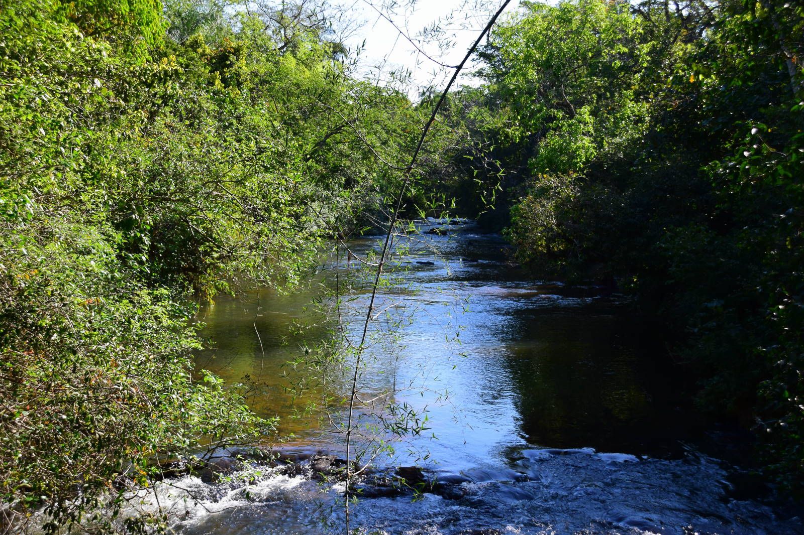 ИзоБразилия акупунктурно. Рио-Игуасу с обеих сторон