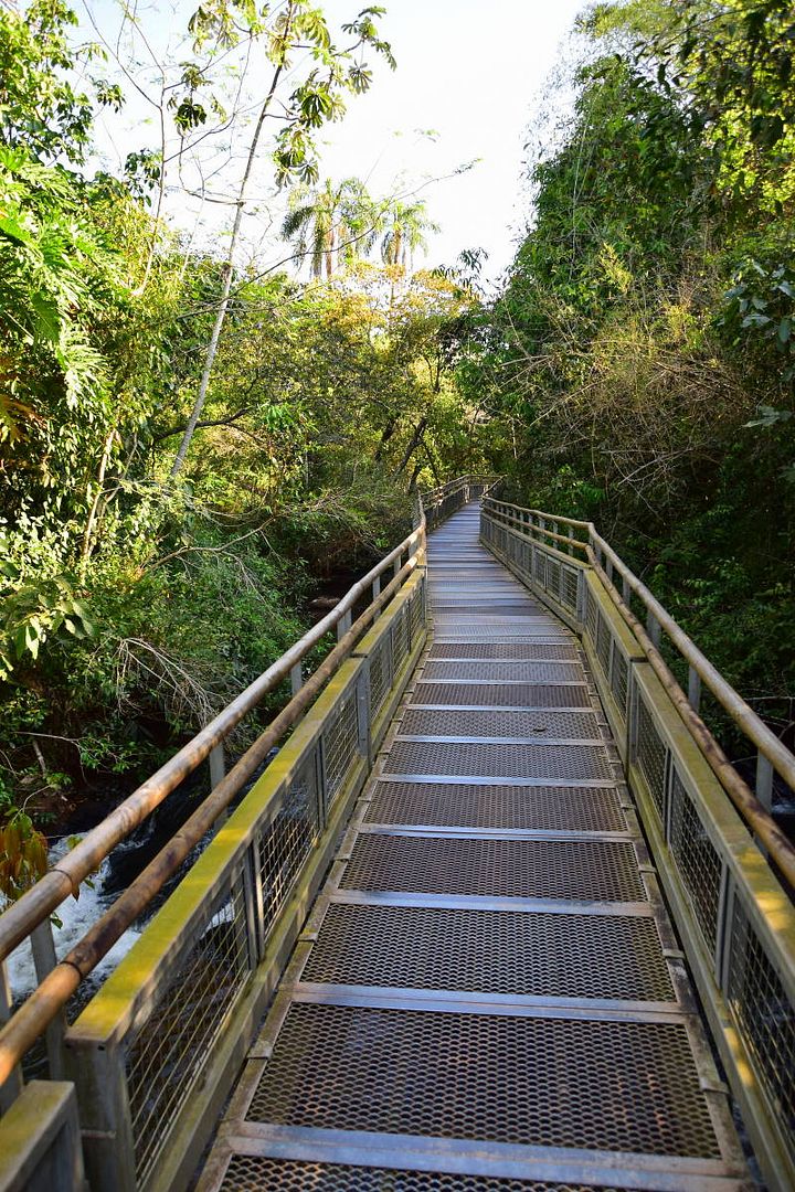 ИзоБразилия акупунктурно. Рио-Игуасу с обеих сторон