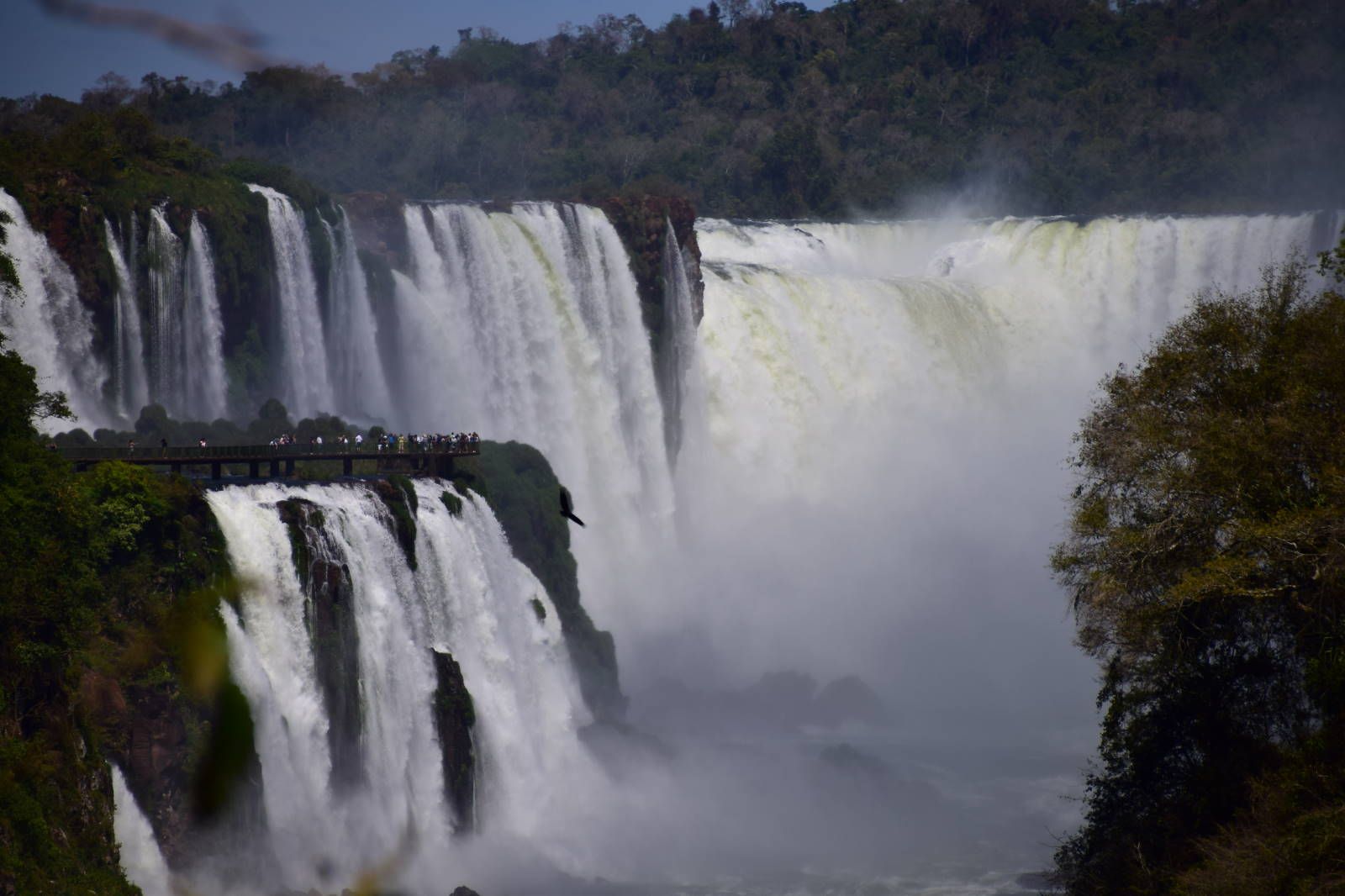 ИзоБразилия акупунктурно. Рио-Игуасу с обеих сторон