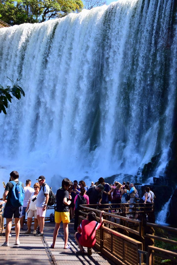 ИзоБразилия акупунктурно. Рио-Игуасу с обеих сторон