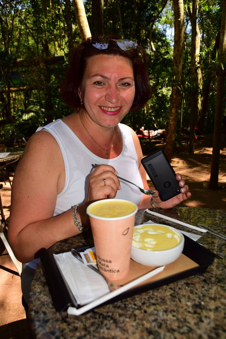 ИзоБразилия акупунктурно. Рио-Игуасу с обеих сторон