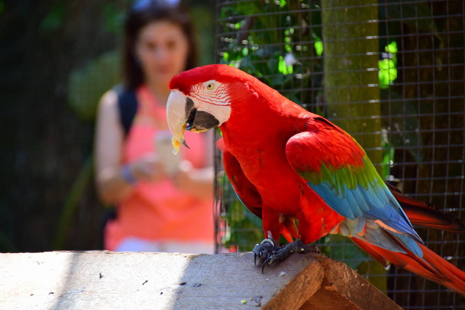 ИзоБразилия акупунктурно. Рио-Игуасу с обеих сторон