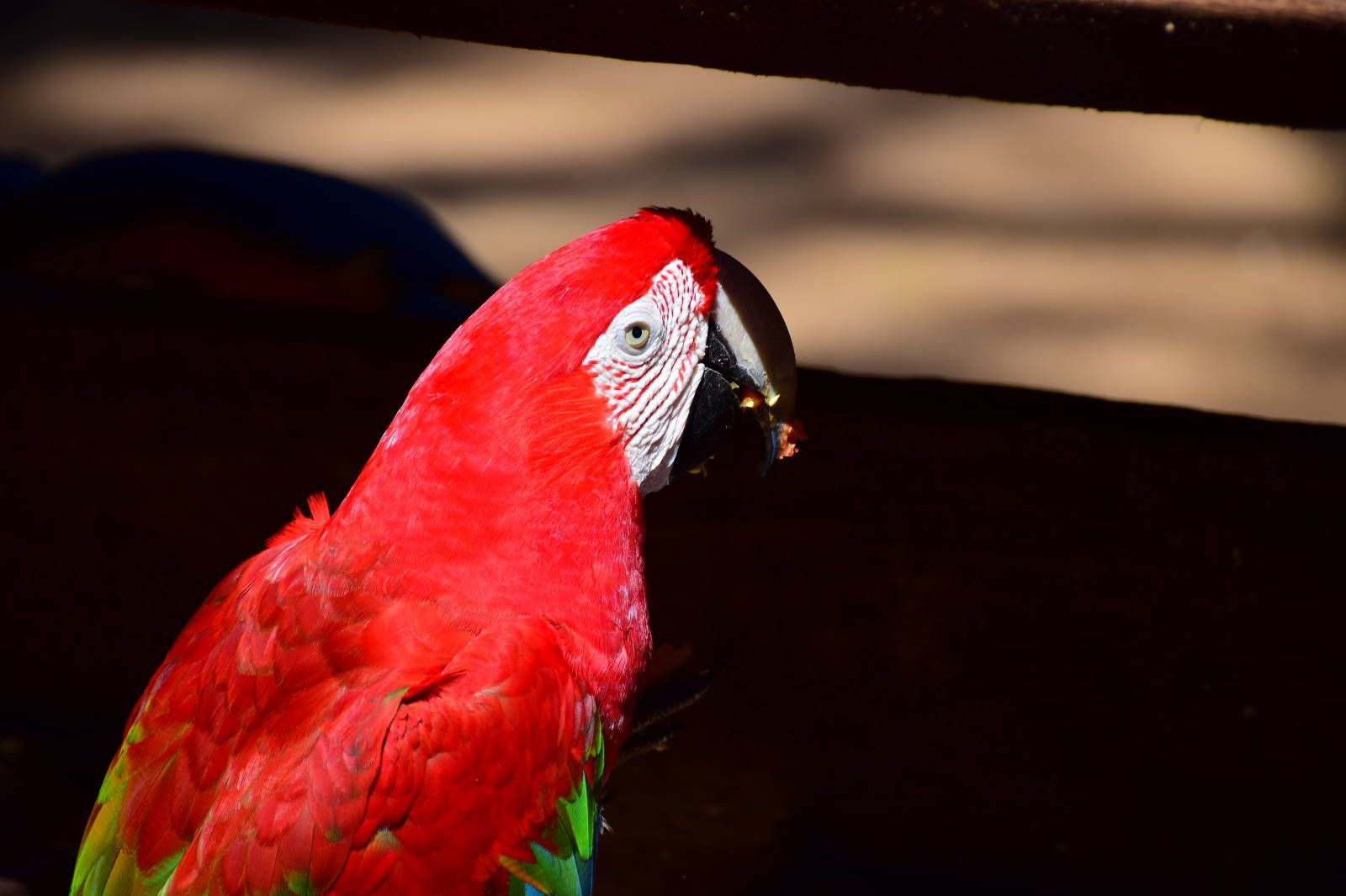 ИзоБразилия акупунктурно. Рио-Игуасу с обеих сторон