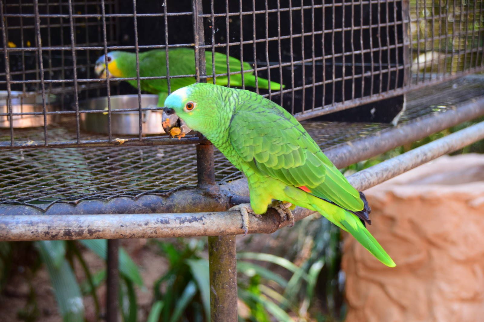 ИзоБразилия акупунктурно. Рио-Игуасу с обеих сторон