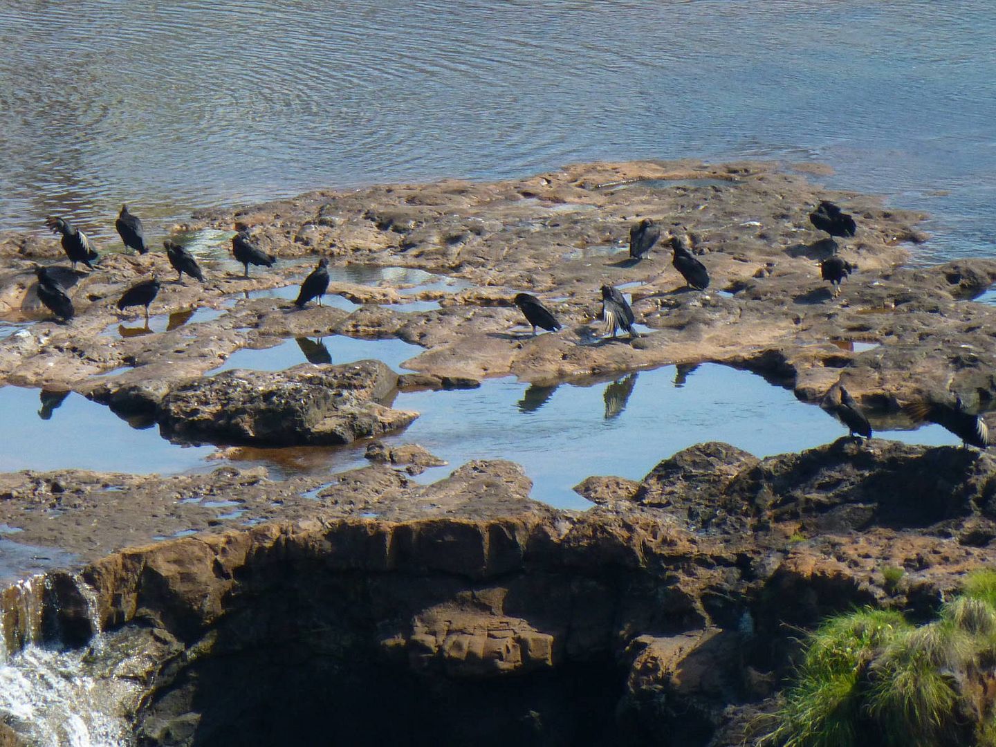 ИзоБразилия акупунктурно. Рио-Игуасу с обеих сторон