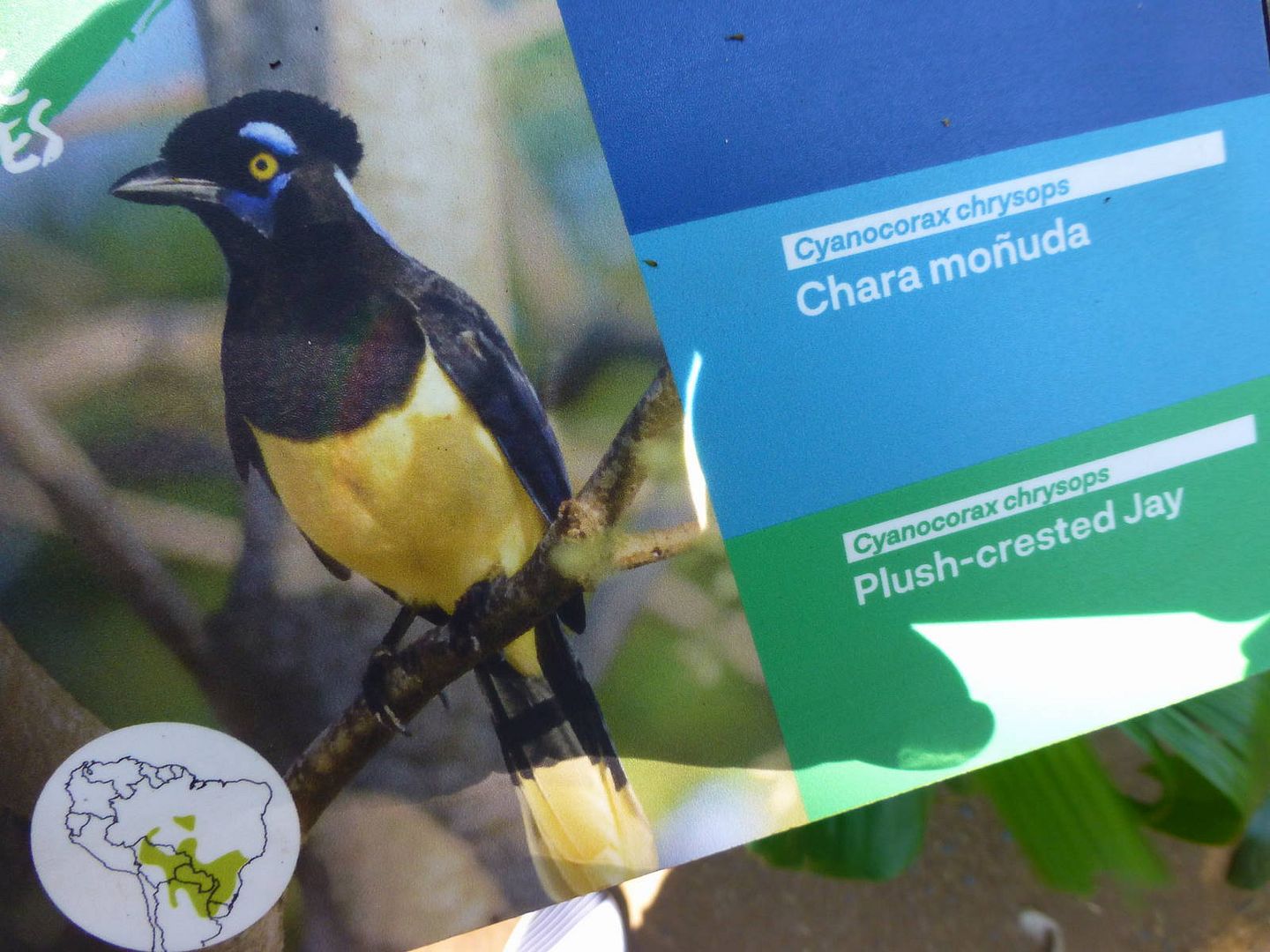 ИзоБразилия акупунктурно. Рио-Игуасу с обеих сторон