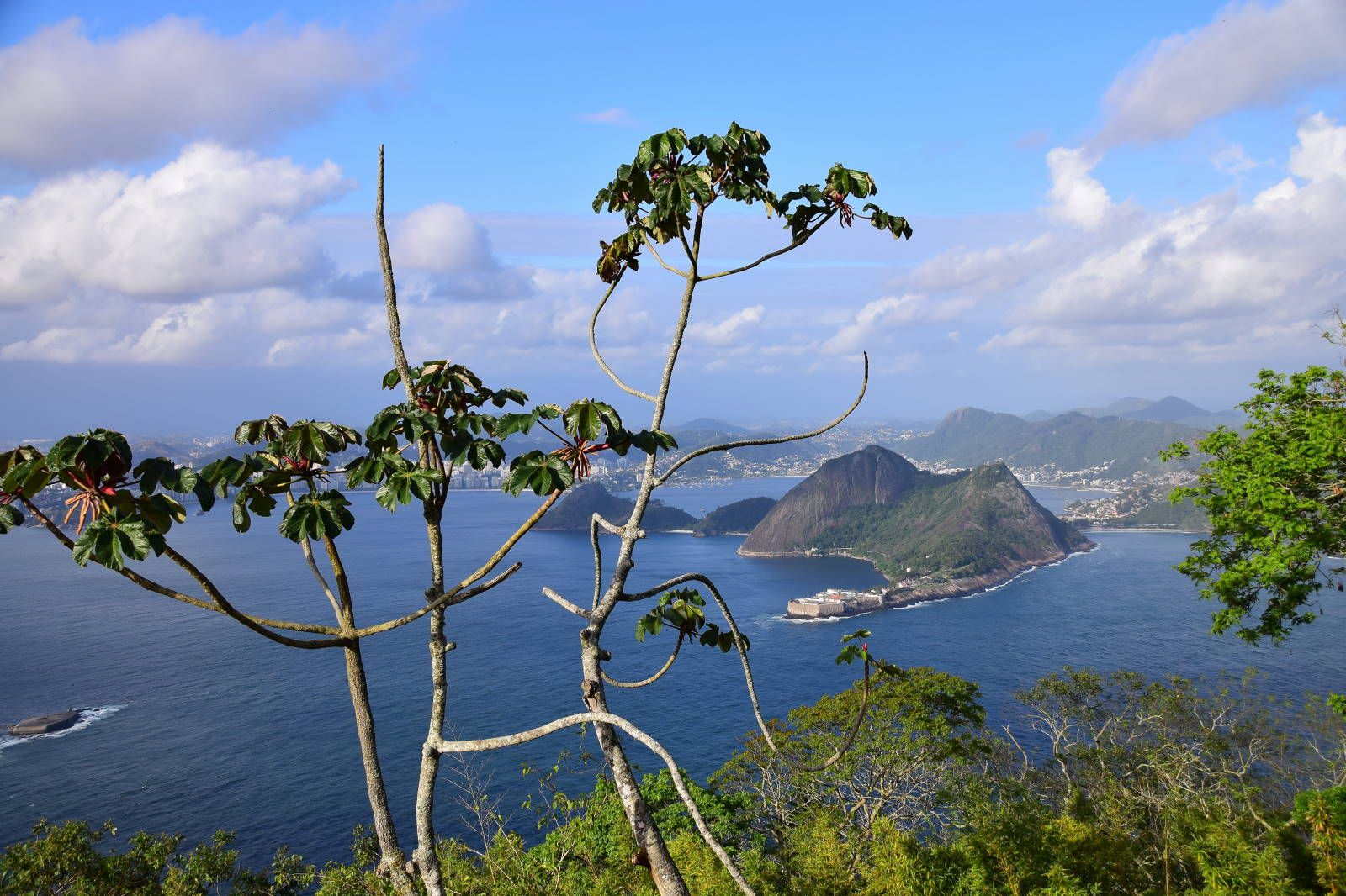 ИзоБразилия акупунктурно. Рио-Игуасу с обеих сторон