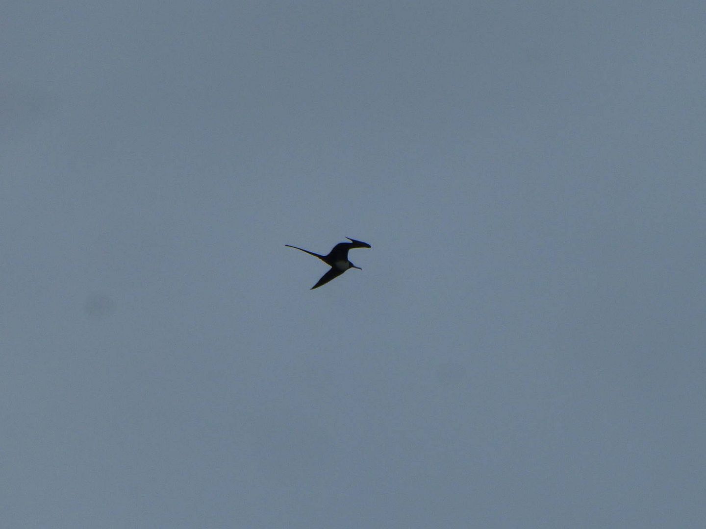 ИзоБразилия акупунктурно. Рио-Игуасу с обеих сторон