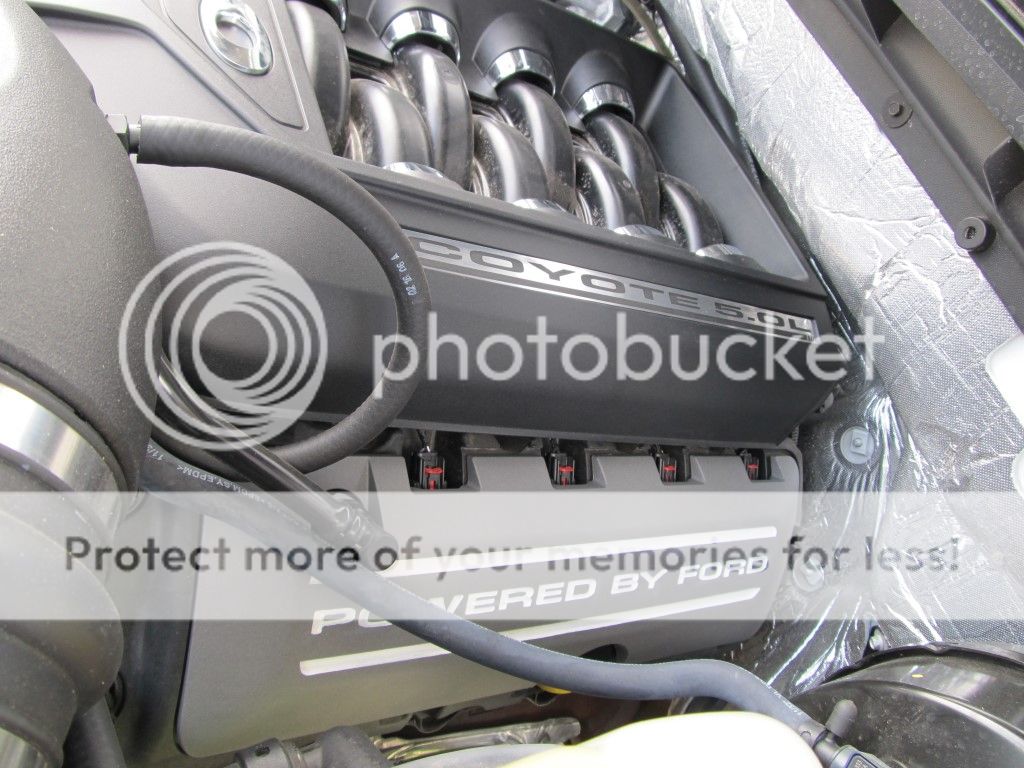 Ford F 150 Truck Bed For Sale >> Engine Cover "Coyote" Overlay Decal Emblem - Page 2 - Ford ... Ford F 150 Truck Bed For Sale >> Engine Cover "Coyote" Overlay Decal Emblem - Page 2 - Ford ...